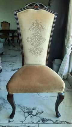 Chance deal! Urgent Sale! Set of 6 NEW dining chairs