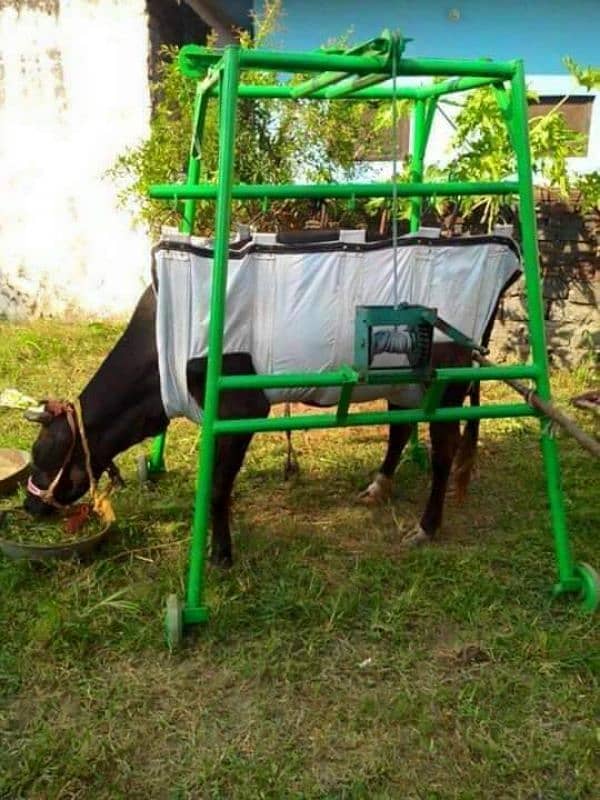 Milking Machine For Cows-buffalo -Mat - Fans-Dairy farming-Chiller 12