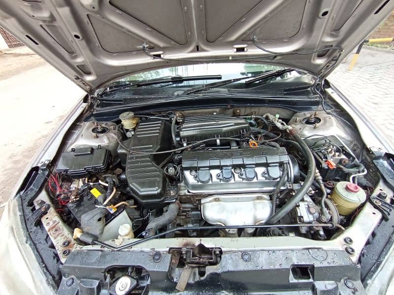 Honda Civic Prosmetic 2005 5