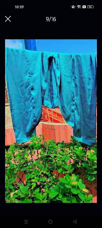 Fancy Silk Trouser 6