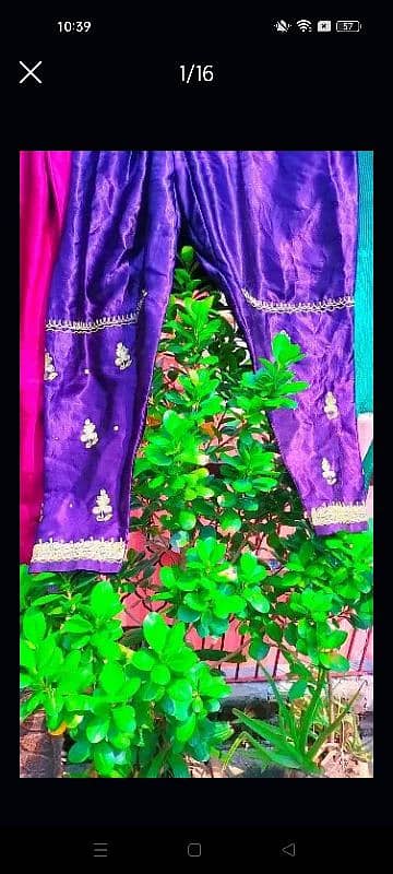 Fancy Silk Trouser 14