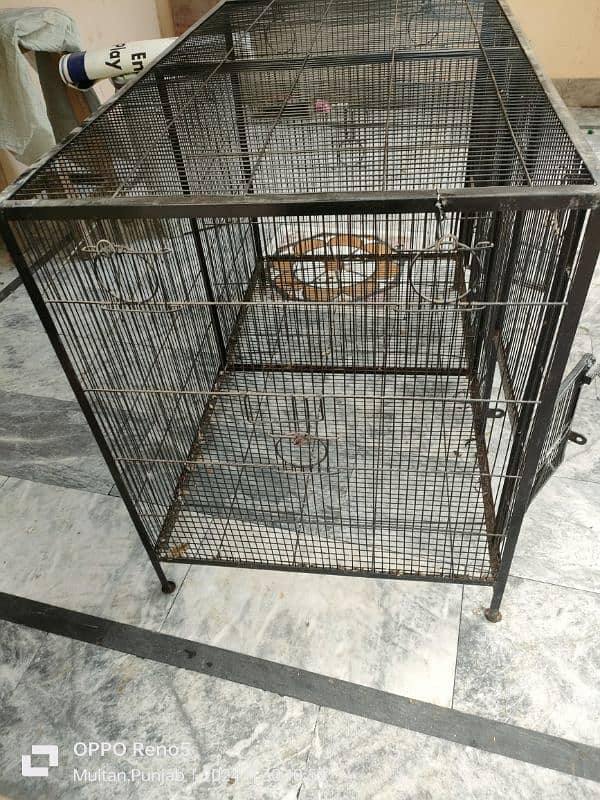 I want to sale my hen or bird cage with no fault 1