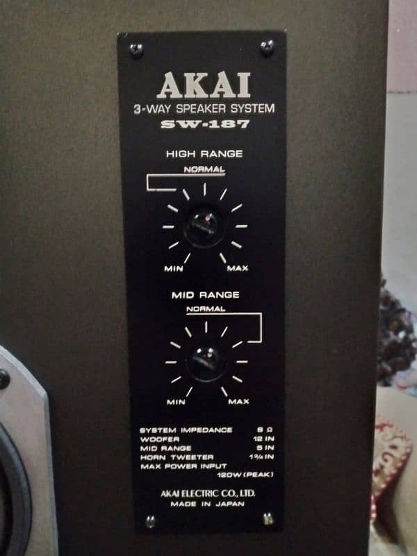 Akai 12" speakers 2