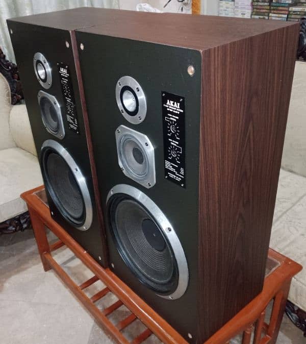 Akai 12" speakers 6