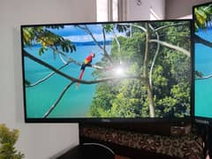 Dell 22 inches borderless monitor