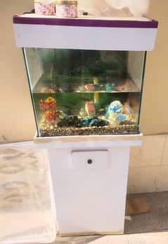 aquarium