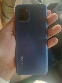 vivo