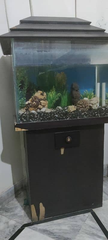 Aquarium for sale with accessories 6