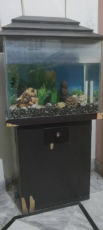 Aquarium for sale with accessories 7