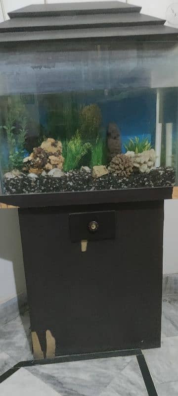 Aquarium for sale with accessories 8