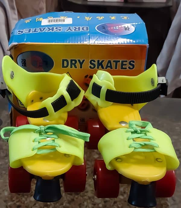 Skates Shoes 2