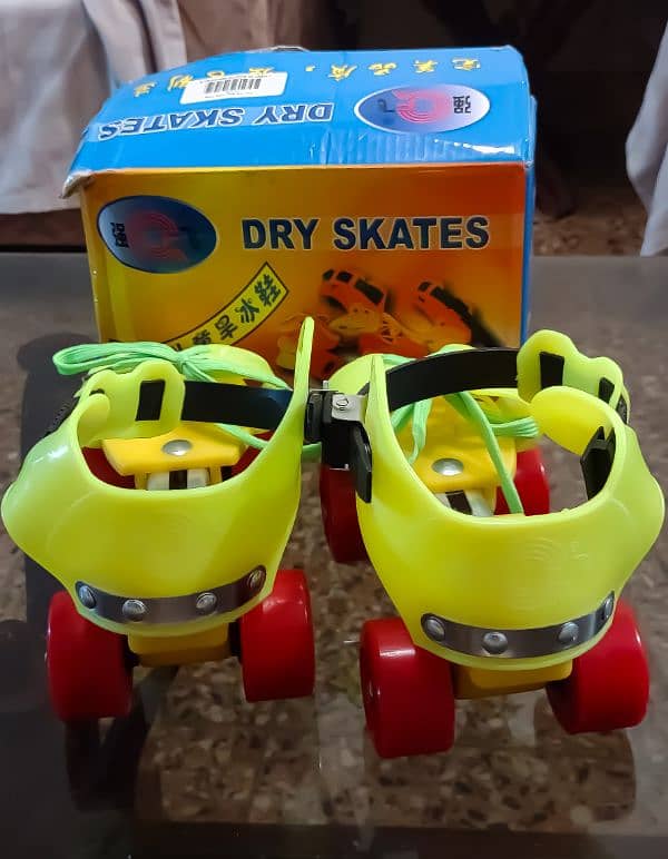 Skates Shoes 4