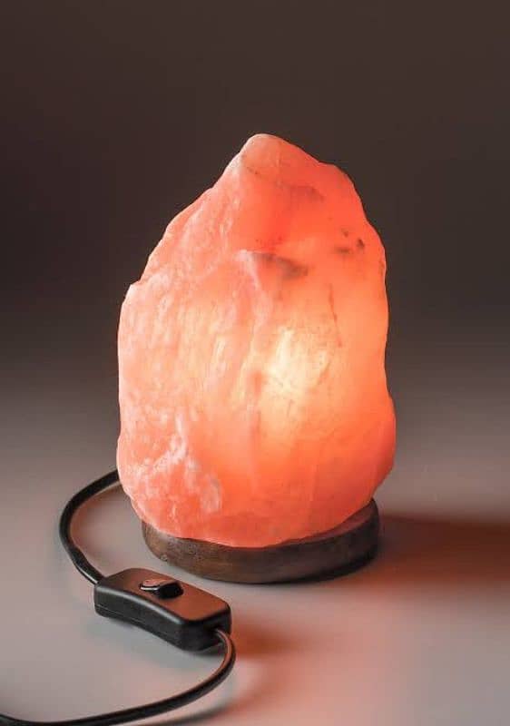 Salt Lamps crafted for sale 3