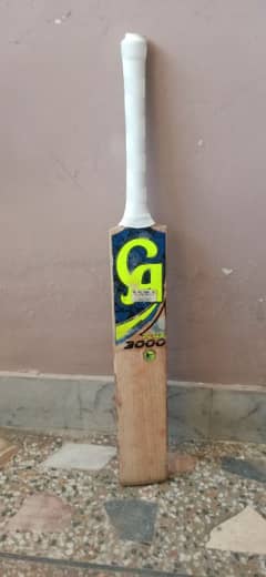 "CA 3000 Cricket Bat – Excellent Performance, Used Condition"