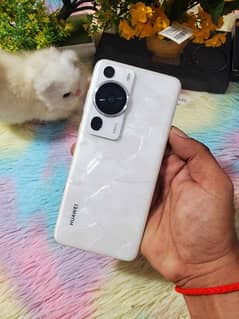 Huawei p60 pro 12/512gb Rocco pearl 145k