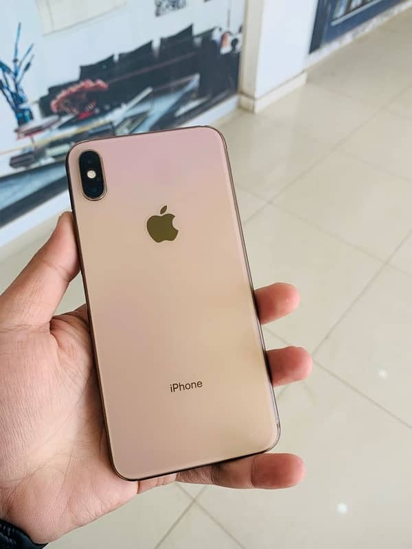 XS MAX DUAL APPROVED 2