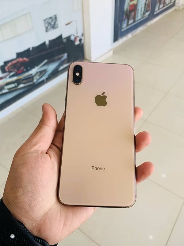 XS MAX DUAL APPROVED 4