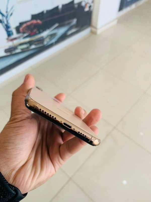 XS MAX DUAL APPROVED 9