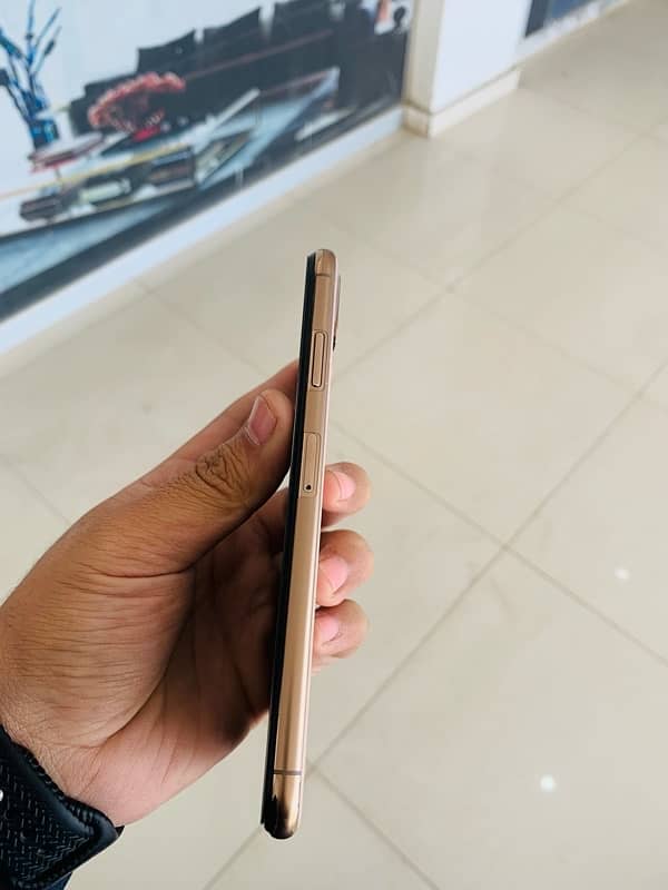 XS MAX DUAL APPROVED 10