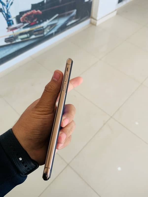 XS MAX DUAL APPROVED 12