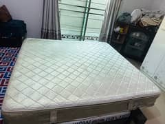 molty foam spring mattress