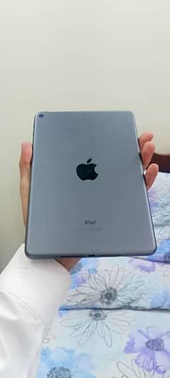 ipad mini 5