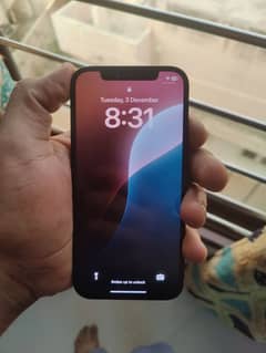 Iphone 12 pta approved