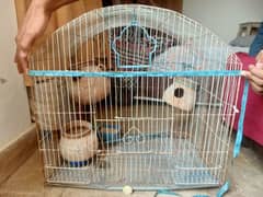 Bird Cage - Pinjra for sale