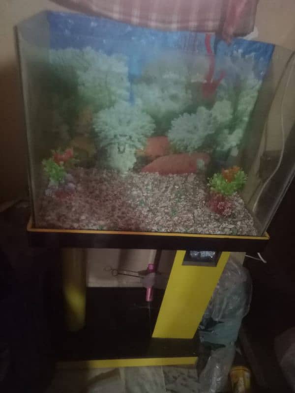 aquarium for fish 0