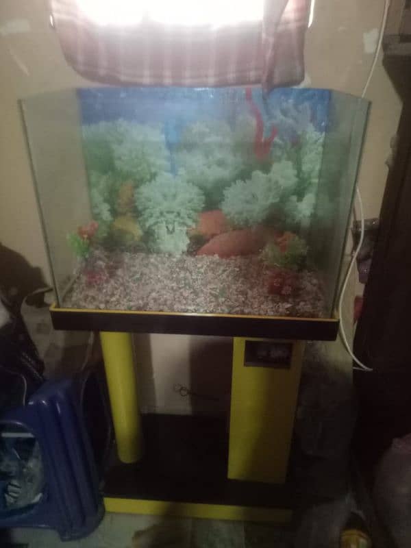 aquarium for fish 1