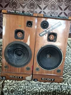 12 Inches Original Feilo Speakers .