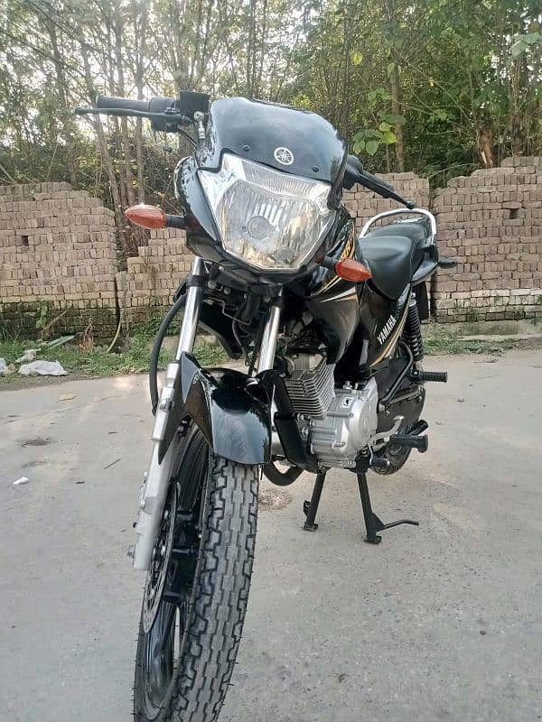 YAMAHA YBR 125 5