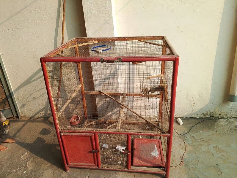 birds cage 0