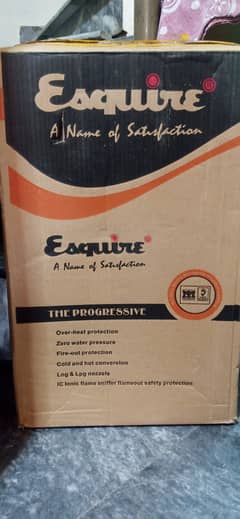 Esquire 6 litter instant gas geyser