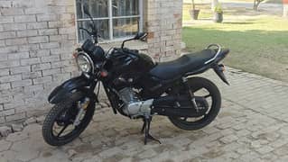 Yamaha YBR 125-G FOR SALE