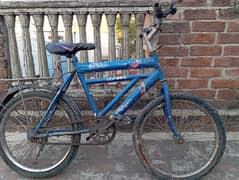 cycle for sale