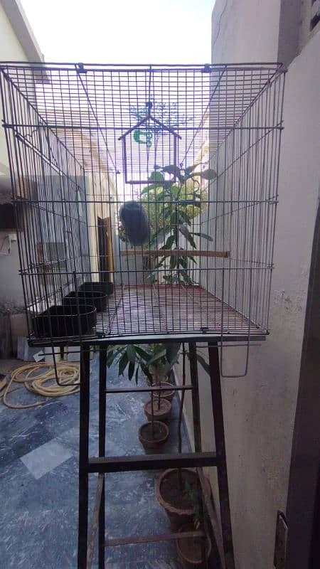 cage for love birds and others 1