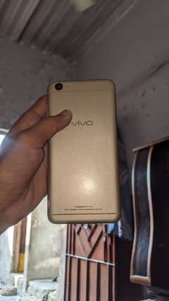 vivo