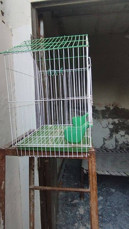 finches/budgies cage for sale 1