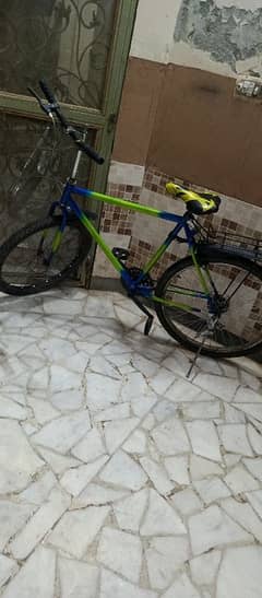 phoenix bicycle for sale