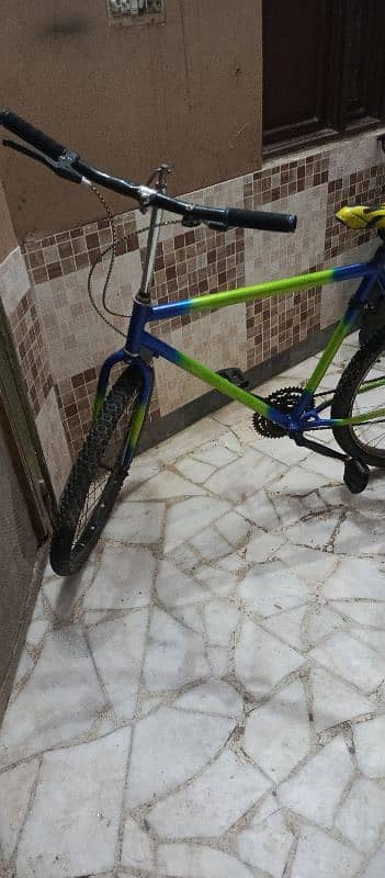 phoenix bicycle for sale 1