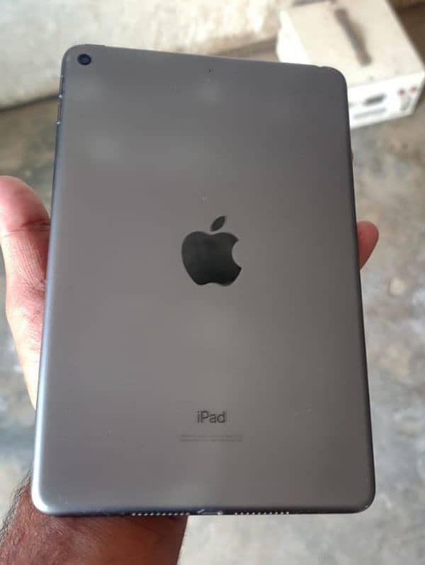 ipad mini5 1