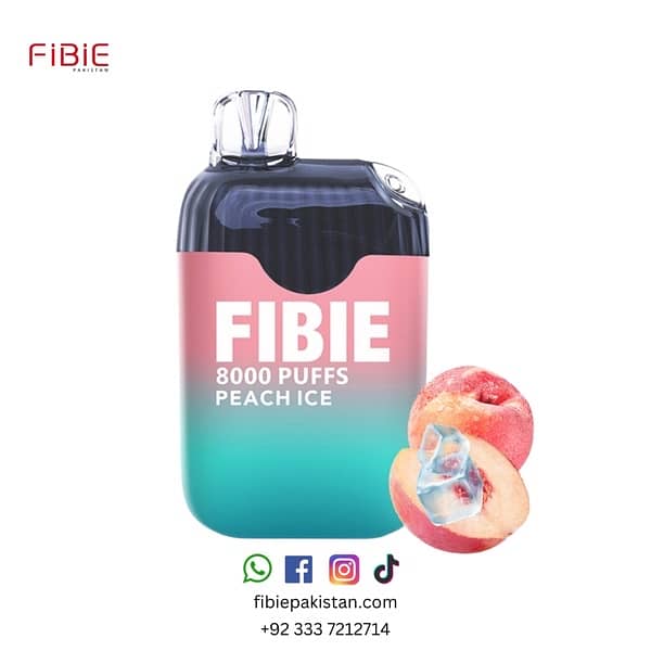 8000 Puff Fibie Device 11