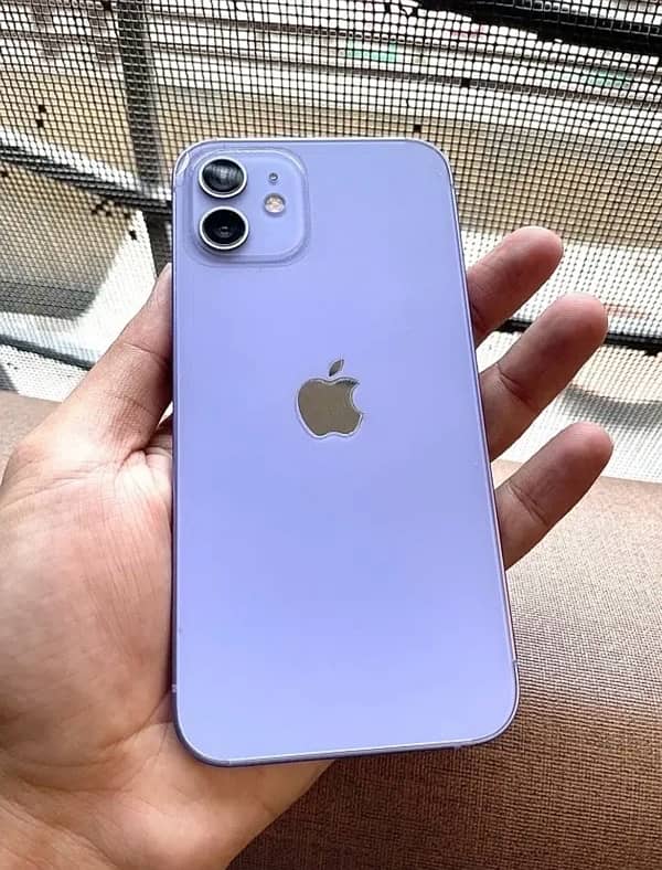 IPhone 12 pta approved 2