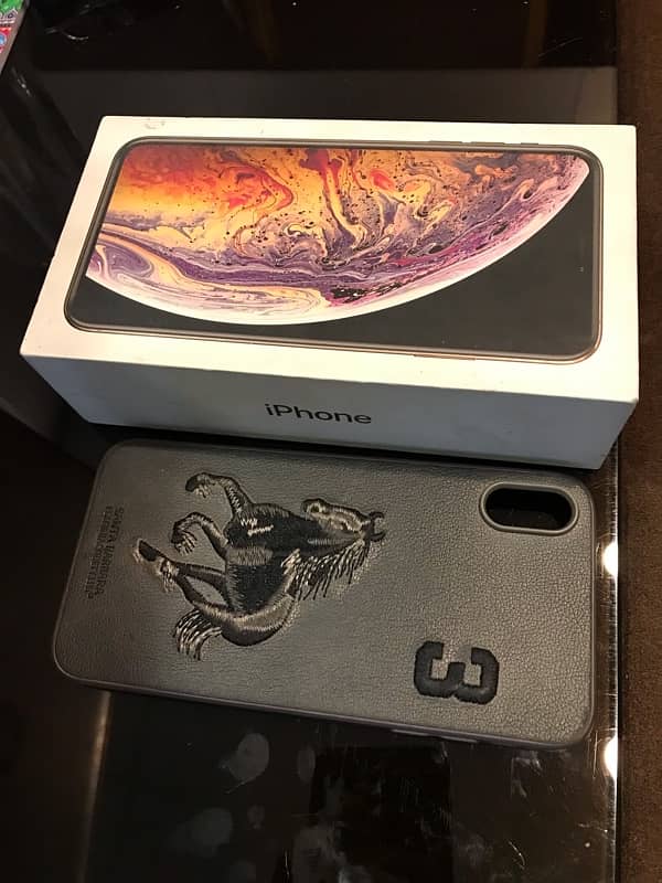 iPhone XS Max 5