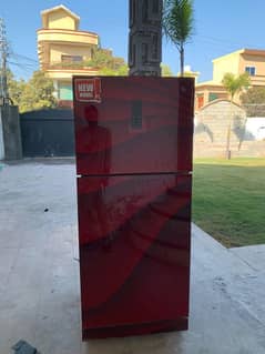 PEL New Model Refrigerator For Sale 50%