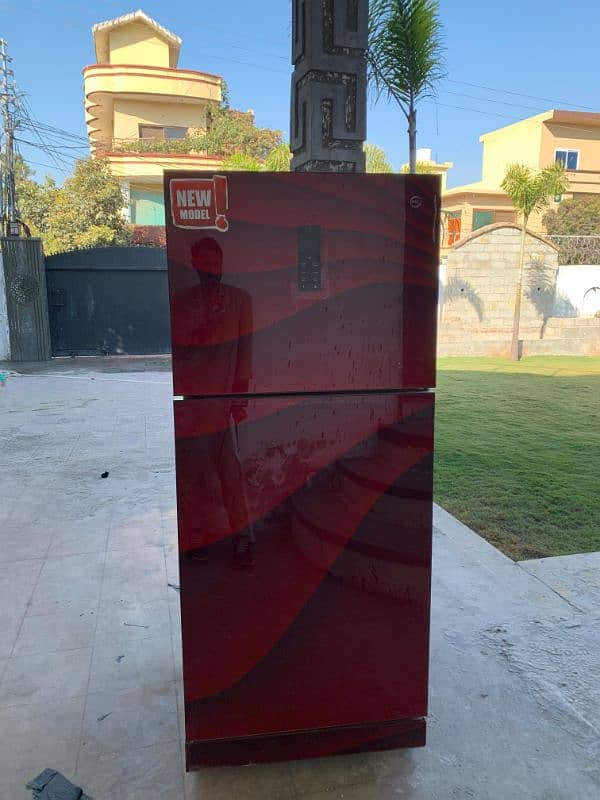 PEL New Model Refrigerator For Sale 50% 0