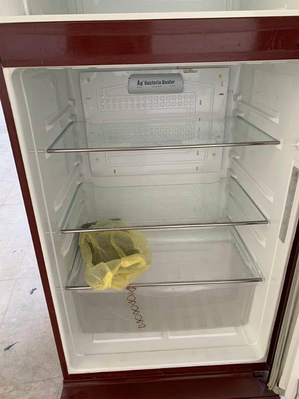 PEL New Model Refrigerator For Sale 50% 4