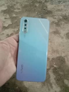 vivo