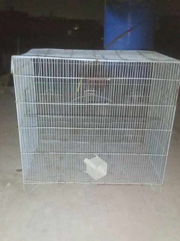 Hens cage 7